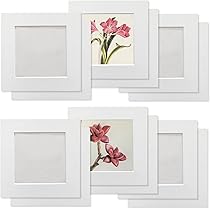 Amazon.co.jp: Haojiaho 展示用 フォトフレーム 6個セット 13.8